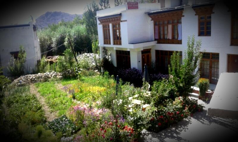 Jimmy'S Homestay Лех Экстерьер фото