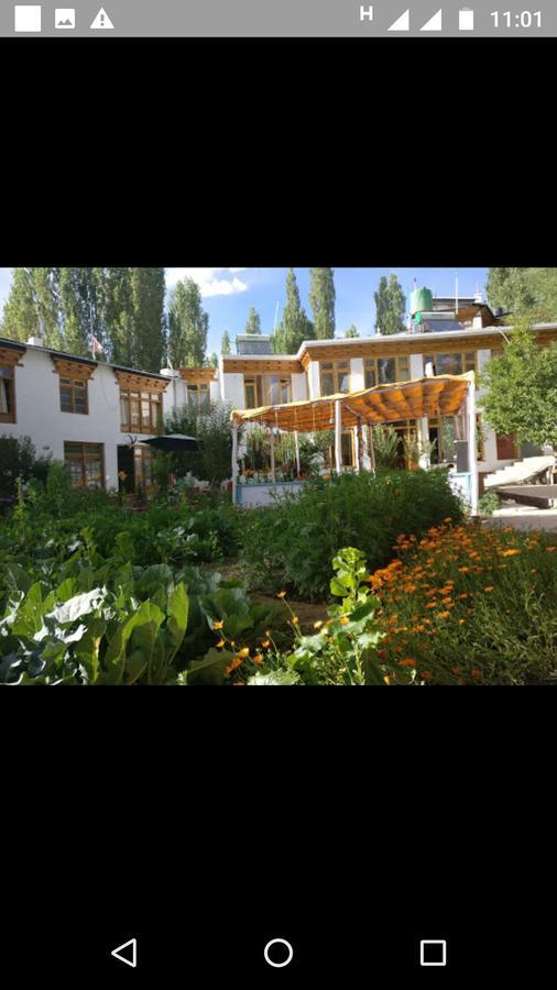 Jimmy'S Homestay Лех Экстерьер фото