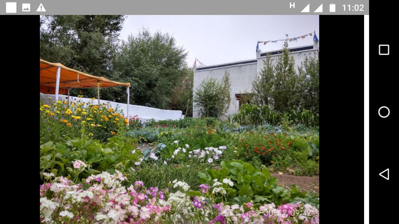 Jimmy'S Homestay Лех Экстерьер фото